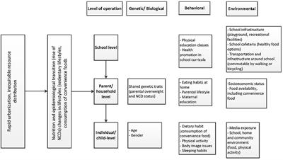 Determinants of Double Burden of Malnutrition Among School Children and Adolescents in Urban Dhaka: A Multi-Level Analyses